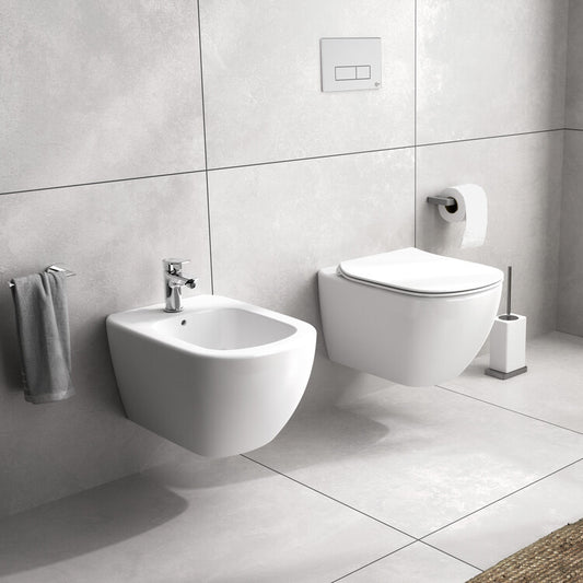 Wall Hung WC Tesi